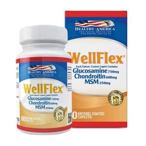 Wellflex Glucosamina/condroitina/msm 750/600/250 Mg X 60 Cap
