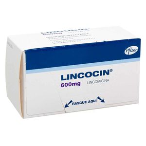 Lincocin Lincomicina 600 Mg X 5 Amp