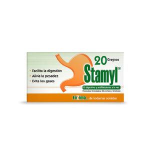 Stamyl Pancreatina/hidrolasa/simeticona 175 Mg/50 G/40 Mg X 20 Grageas